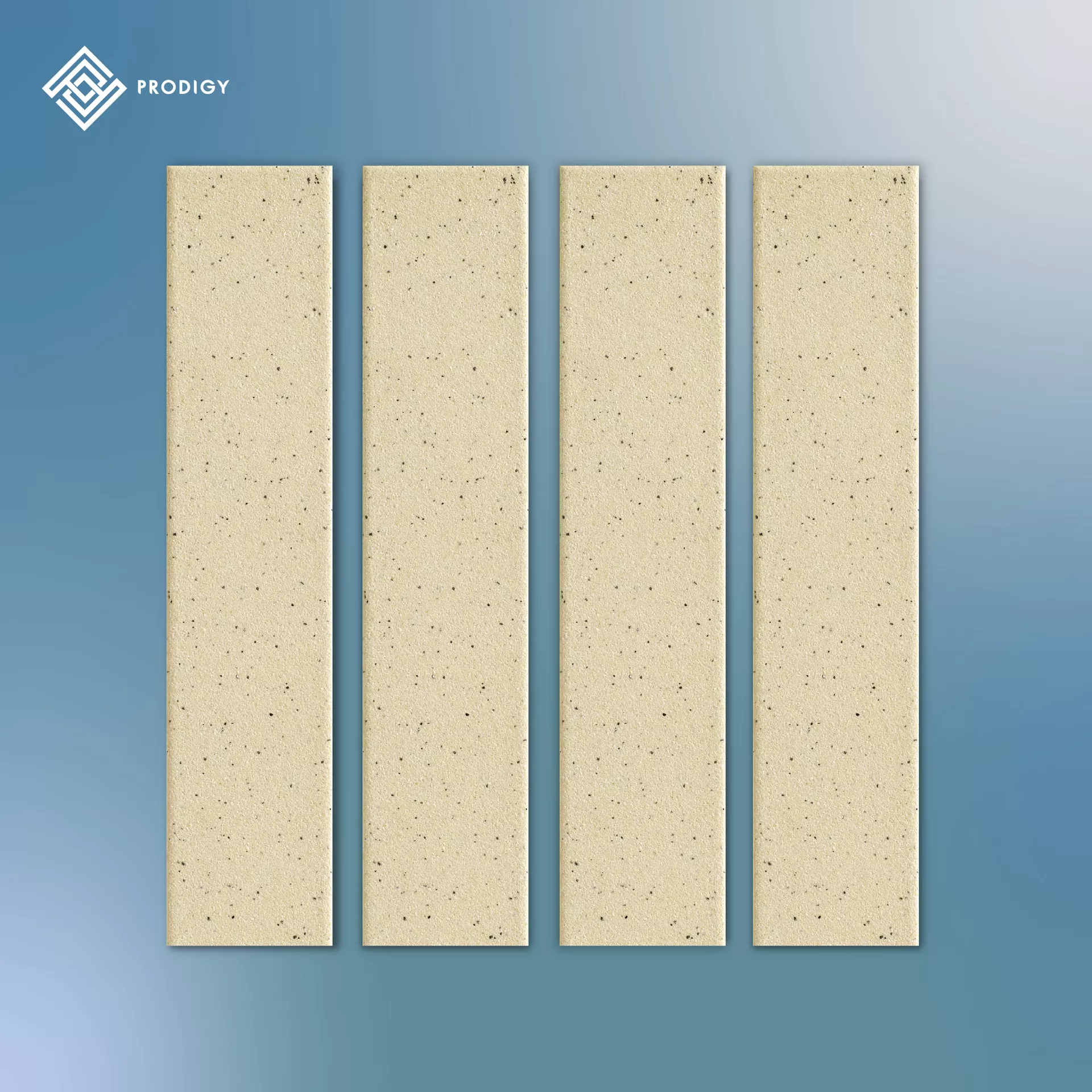 Flanges-02.webp